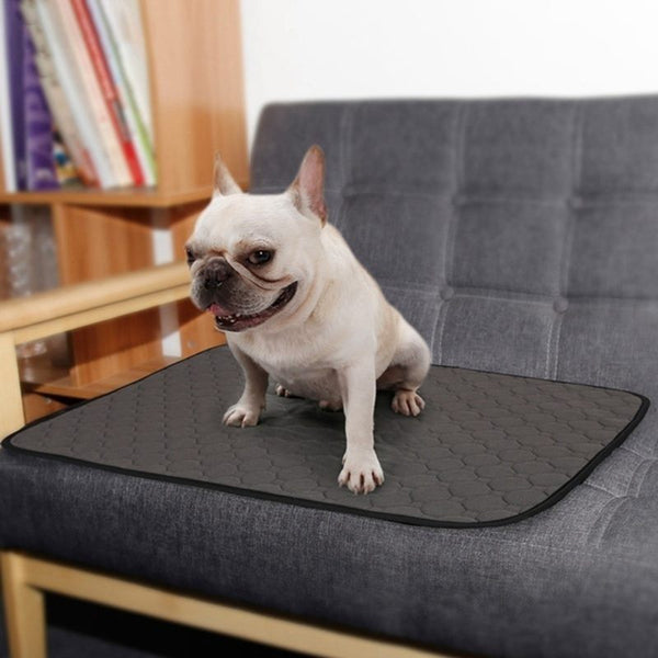 Pet Dog Pee Pad Urine Mat