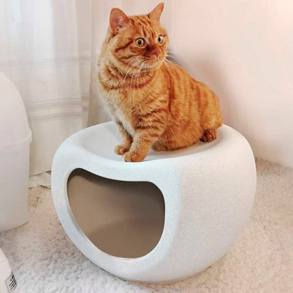 Dog Bed Cat House