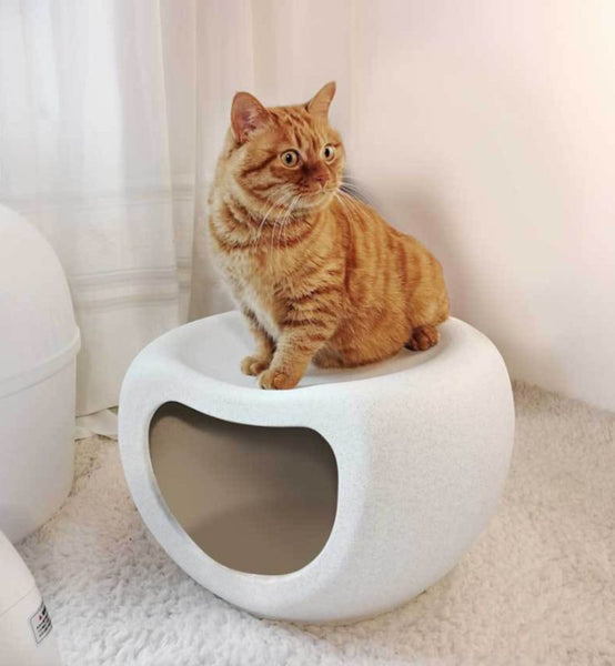 Dog Bed Cat House