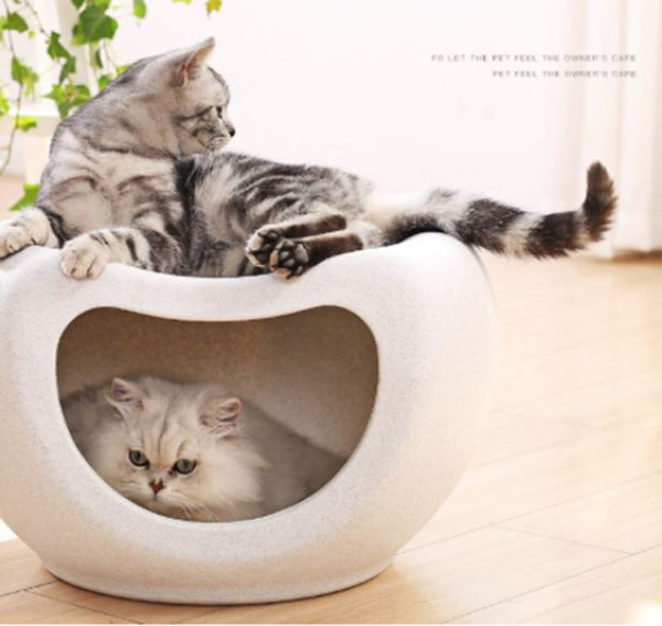 Dog Bed Cat House