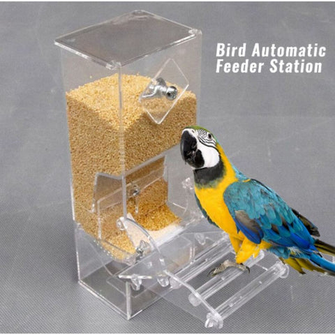 Bird Automatic Feeder Bird Food Container