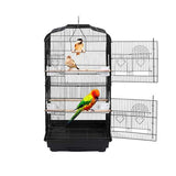 Bird Cage Birds Cages