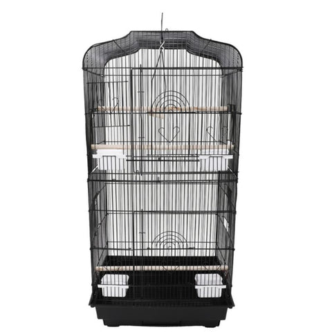 Bird Cage Birds Cages
