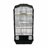 Bird Cage Birds Cages