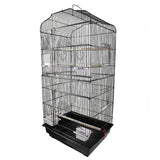 Bird Cage Birds Cages