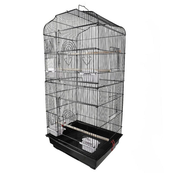Bird Cage Birds Cages