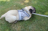 Cat Vest Harness Leash Set S