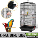 Bird Cage Birds Cages