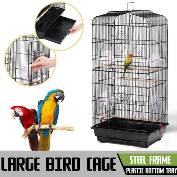 Bird Cage Birds Cages