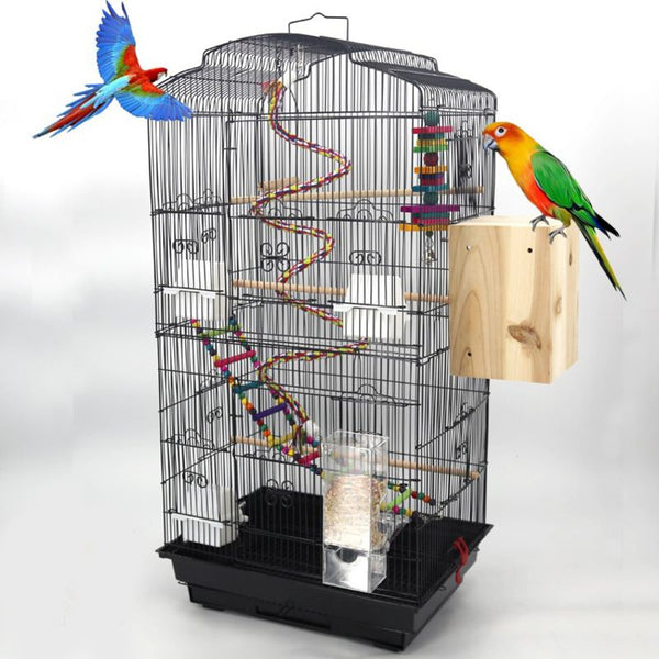 Bird Cage Birds Cages