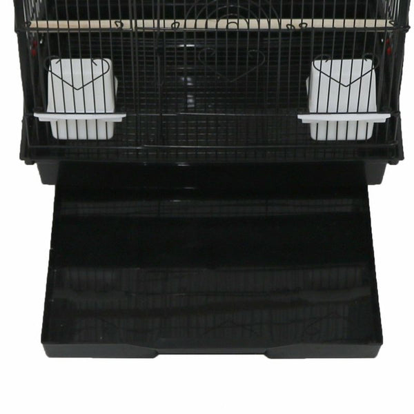 Bird Cage Birds Cages