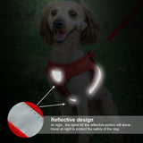 Cat Vest Harness Leash Set