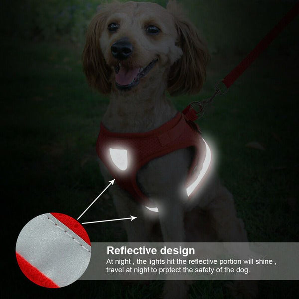 Cat Vest Harness Leash Set