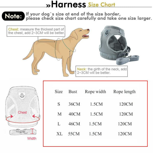 Cat Vest Harness Leash Set XL
