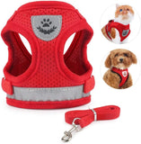 Cat Vest Harness Leash Set