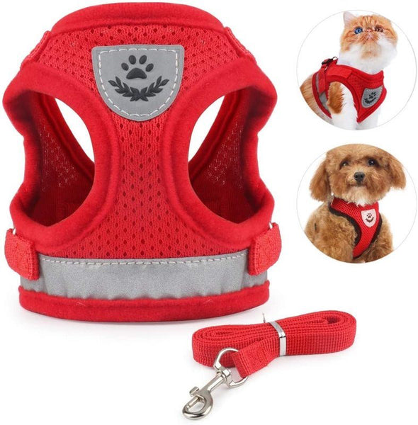 Cat Vest Harness Leash Set