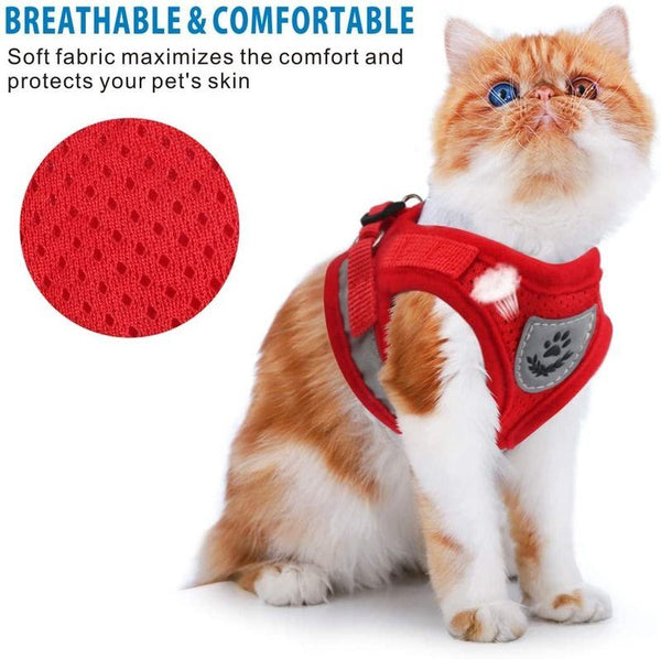 Cat Vest Harness Leash Set