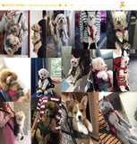 Pet Carrier Dog Cat Backpack S