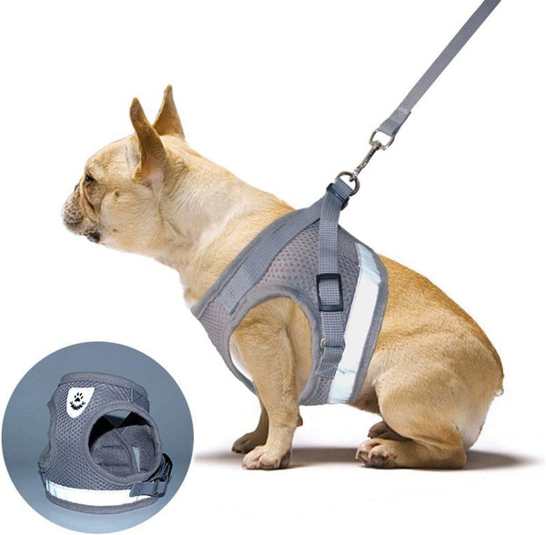 Cat Vest Harness Leash Set XL