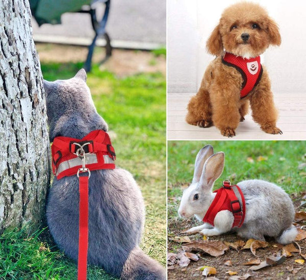 Cat Vest Harness Leash Set