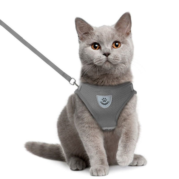 Cat Vest Harness Leash Set XL