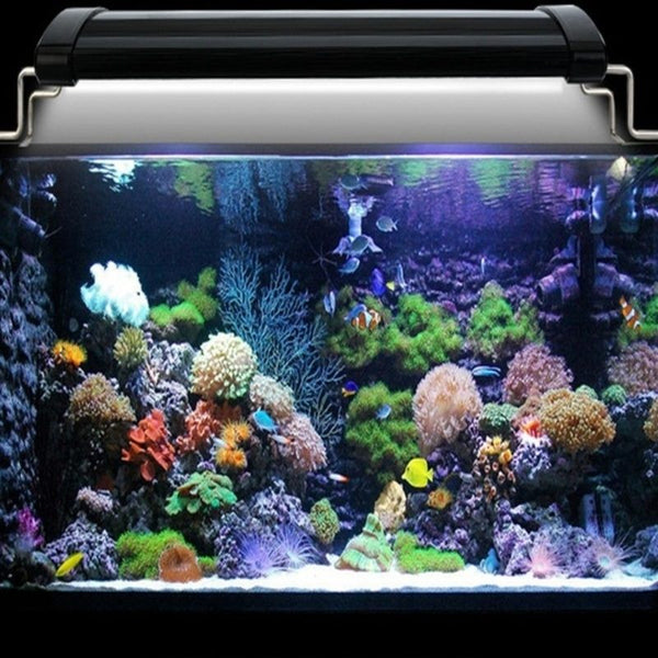 Fish Tank Light Aquarium Lights LED Size L