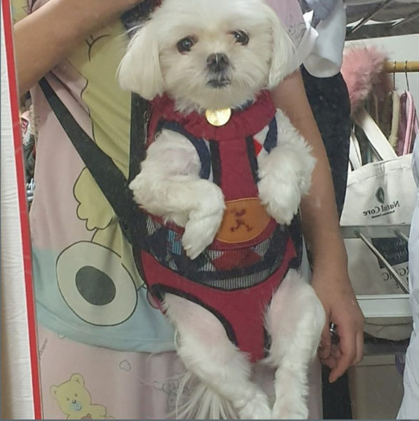 Pet Carrier Dog Cat Backpack S