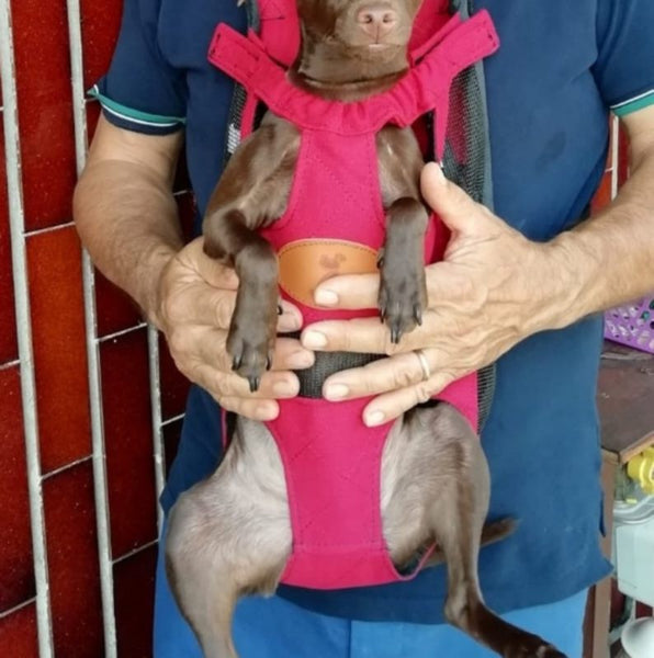 Pet Carrier Dog Cat Backpack S