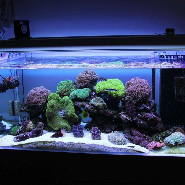 Fish Tank Light Aquarium Lights LED Size L
