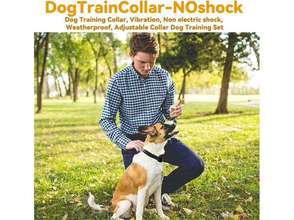 Pet Dog Training Collar Dog Bark Collar + Charger