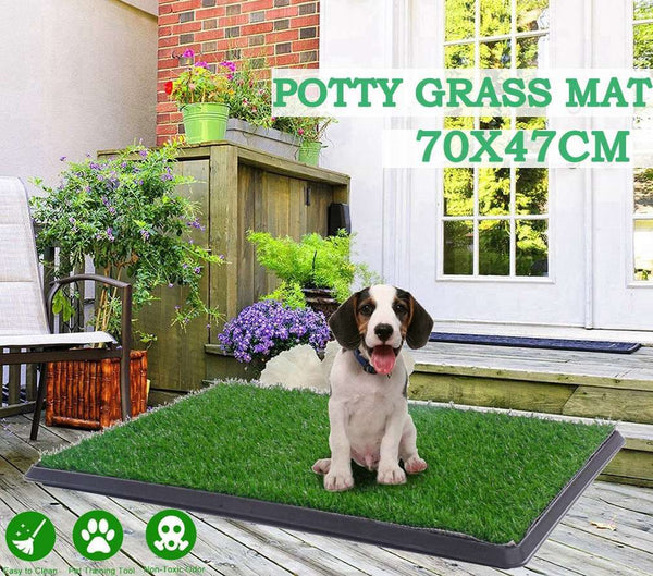 Puppy Pet Potty Training Pee