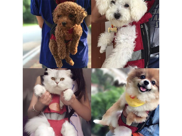 Pet Carrier Dog Travel Backpack Carrier