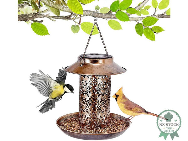 Bird Feeder