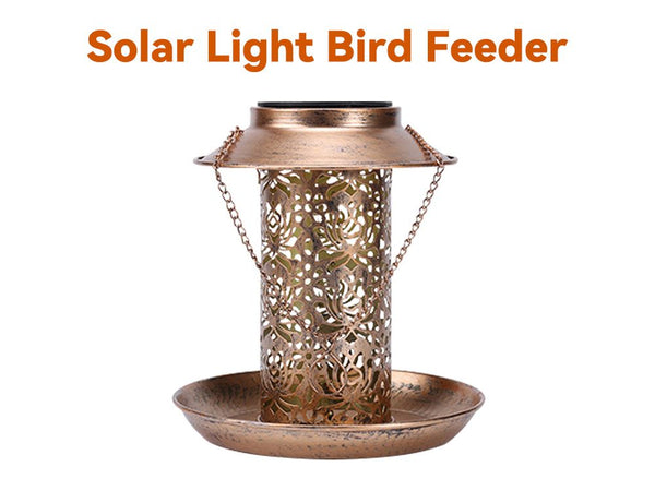 Bird Feeder