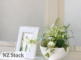 Frosted Privacy Window Film