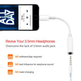 Lightning to Aux iPhone Adapter (A02)