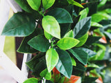 Artificial Ivy Leaf Screen