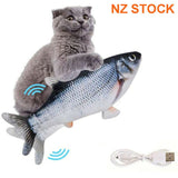 Floppy Fish Cat Toy