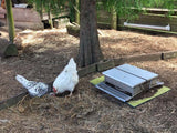 Chicken Feeder 12KG Auto