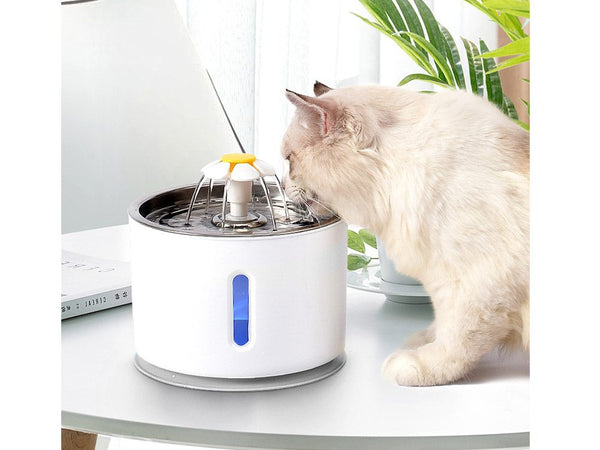 Pet Water Fountain Feeder