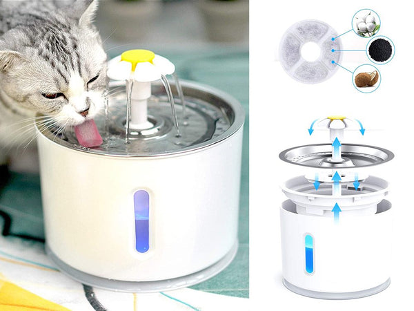 Pet Water Fountain Feeder