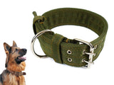 Dog Collar