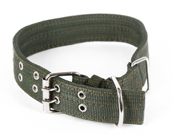 Dog Collar