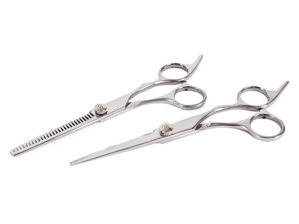 Hair Scissors Set