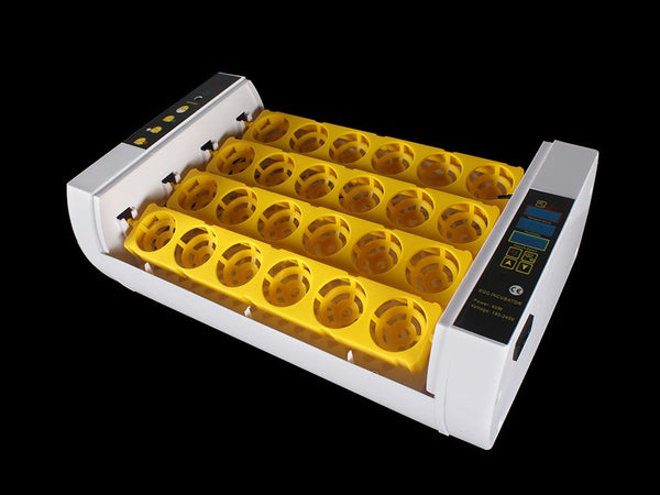 Egg Incubator