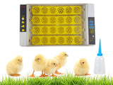 Egg Incubator