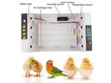 Egg Incubator