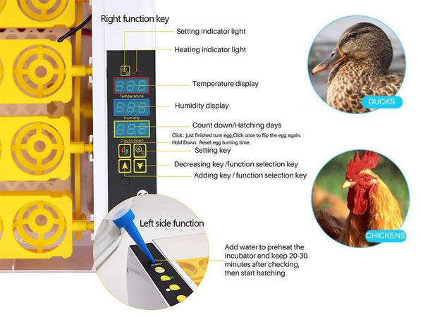 Egg Incubator