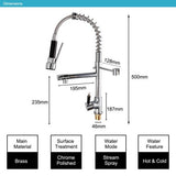 Kitchen Sink Taps Pull Out Sprayer Kitchen Faucet Mixer Tap