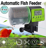 Auto Fish Feeder